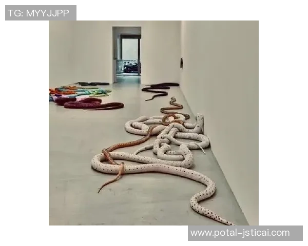 加莱诺的艺术魅力探索与文化传承之路 加莱诺的艺术魅力探索与文化传承之路